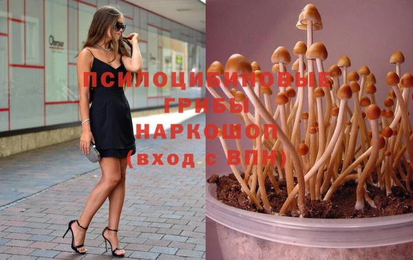 каннабис Армянск