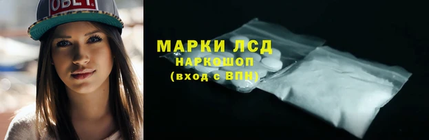 амф Арсеньев