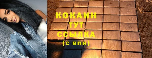 амф Арсеньев