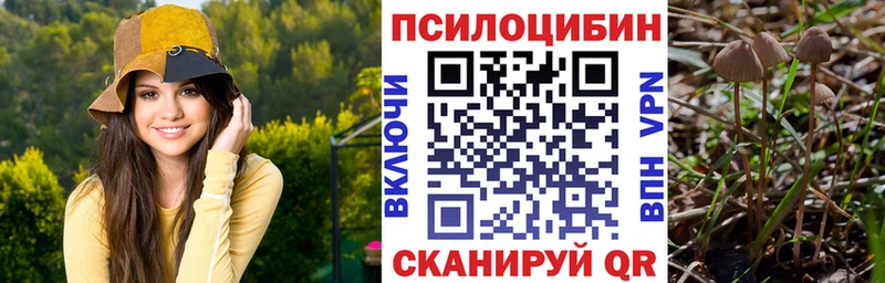 omg рабочий сайт  Татарск  Галлюциногенные грибы мицелий 